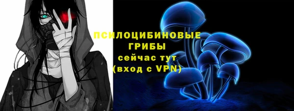 бошки Абдулино