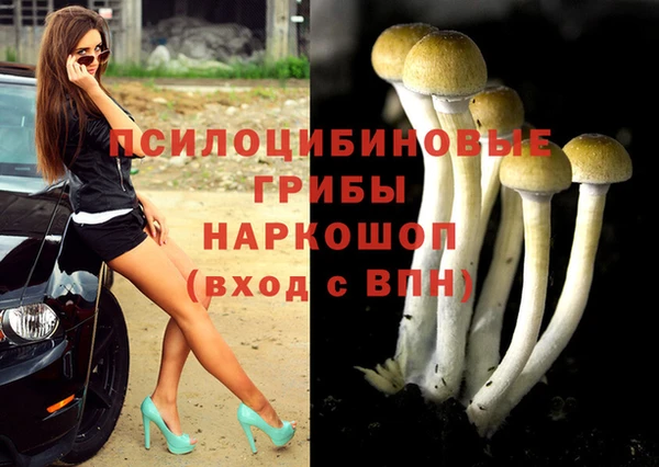 бошки Абдулино
